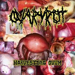 Ovaryrot : Harvesting Ovum
